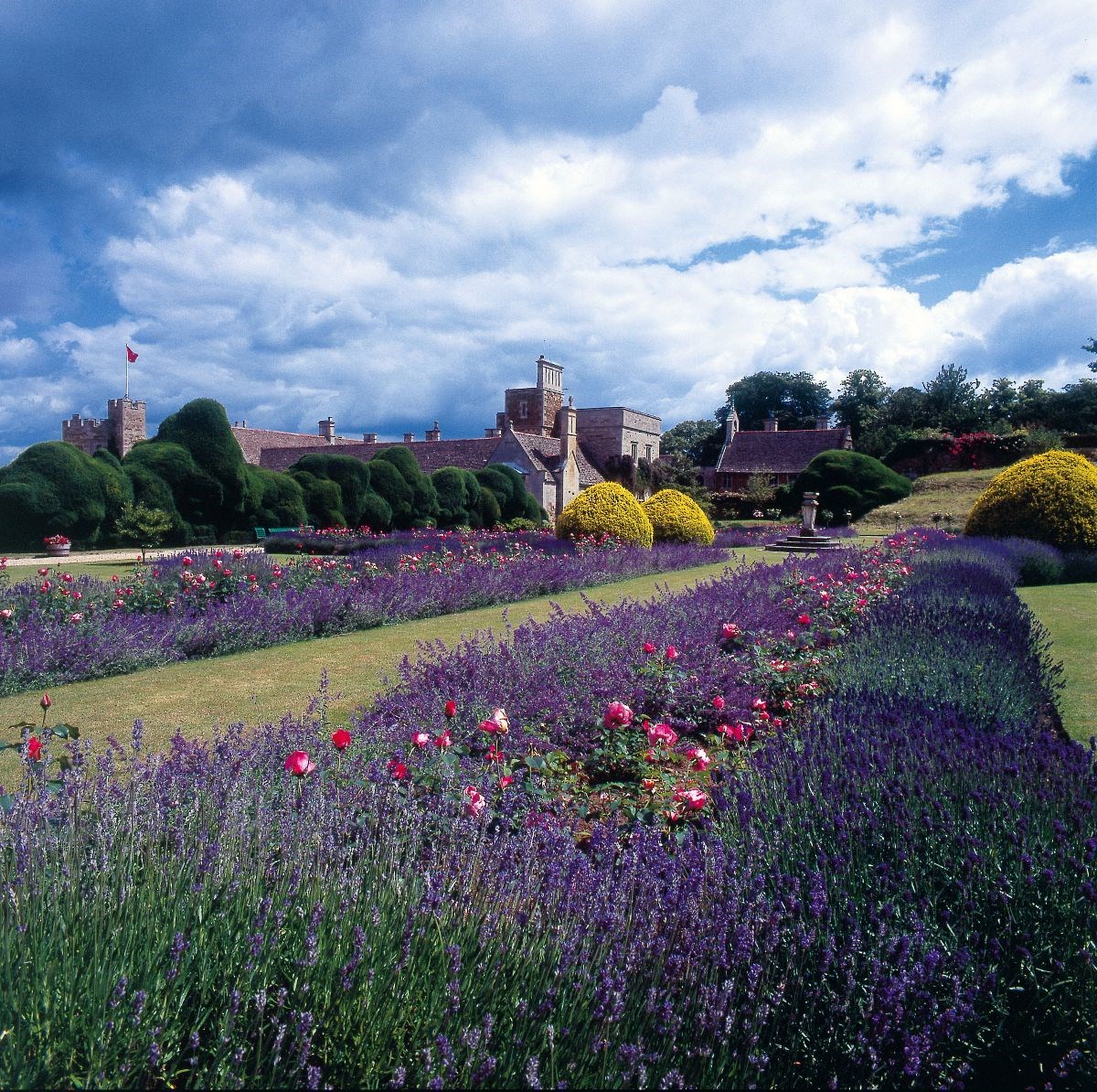  Rockingham Castle Estate <span style='font-size:8px;'> Image courtesy Rockingham Castle Estate </span>