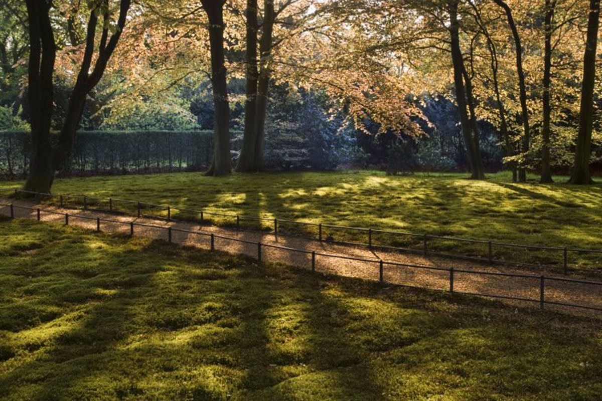 Dunham Massey <span style='font-size:8px;'>®National Trust Images/Andrew Butler</span>
