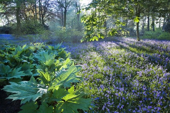 Dunham Massey <span style='font-size:8px;'>®National Trust Images/Andrew Butler</span>