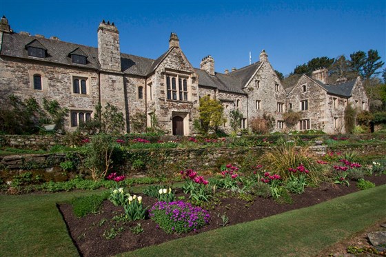 The East Wing flower beds