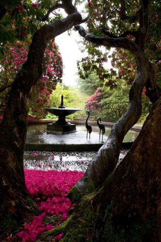 Fountain