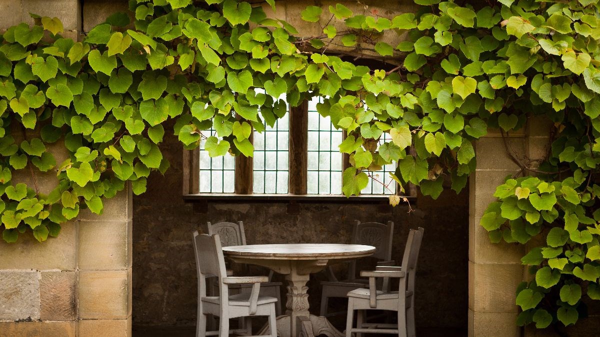 Haddon Hall <span style='font-size:8px;'> credited to Haddon Hall </span>