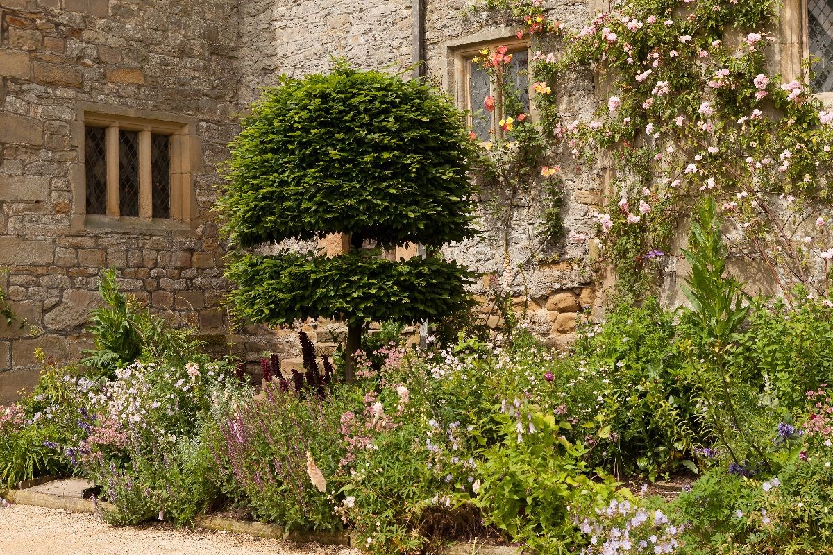 Haddon Hall <span style='font-size:8px;'> credited to Haddon Hall </span>