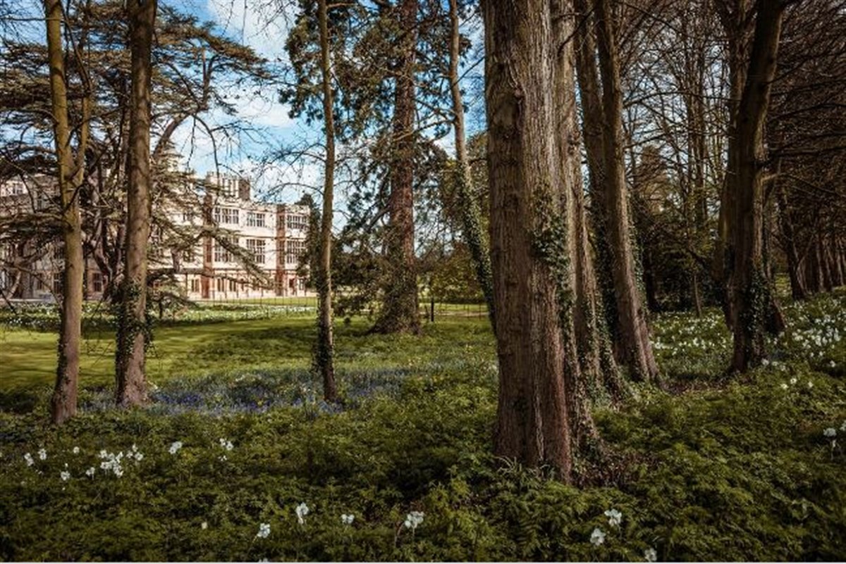 Audley End <span style='font-size:8px;'>®Patrimonio Inglés</span>