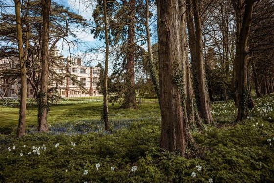 Audley End <span style='font-size:8px;'>®Patrimonio Inglés</span>
