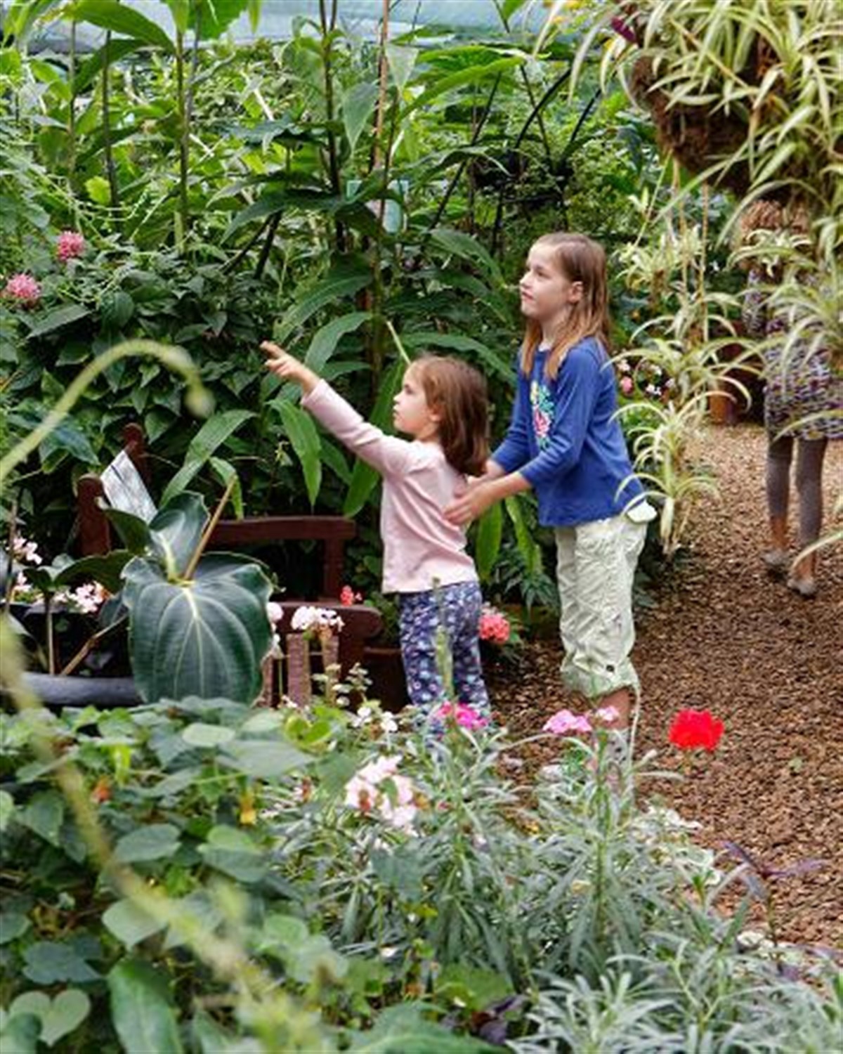 The Tropical Butterfly House