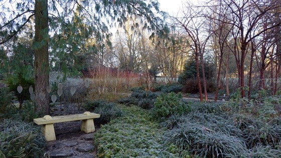 The winter garden at Mottisfont, copyright National Trust/Sophie Wilkinson