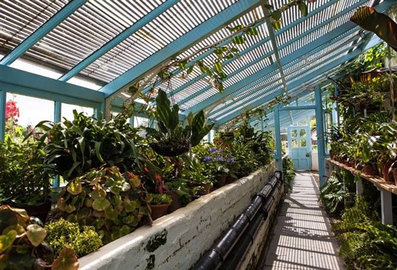 Interior of Charles Darwin's Glasshouse