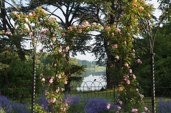The Rose Garden
