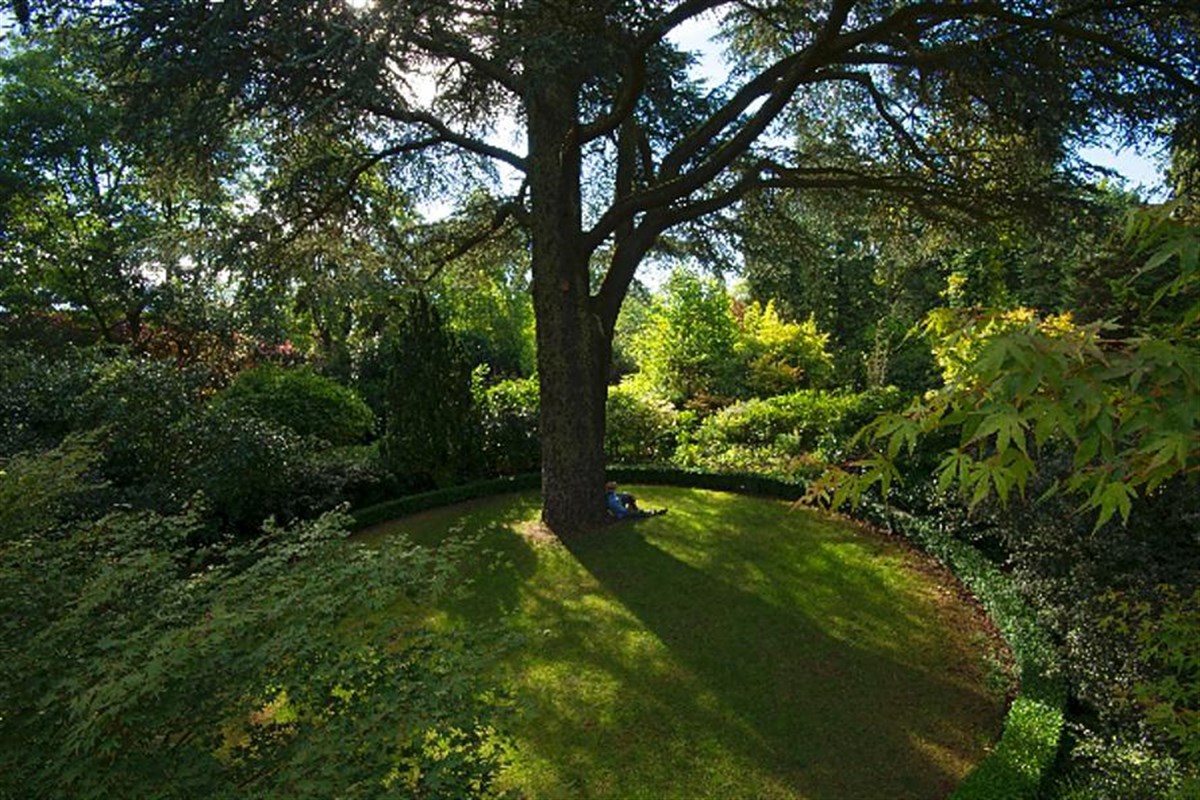 The Secret Garden
