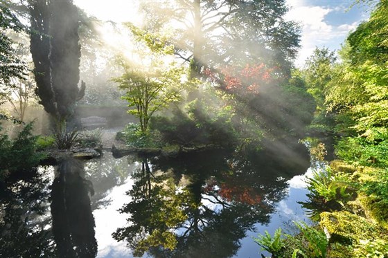 The Secret Garden
