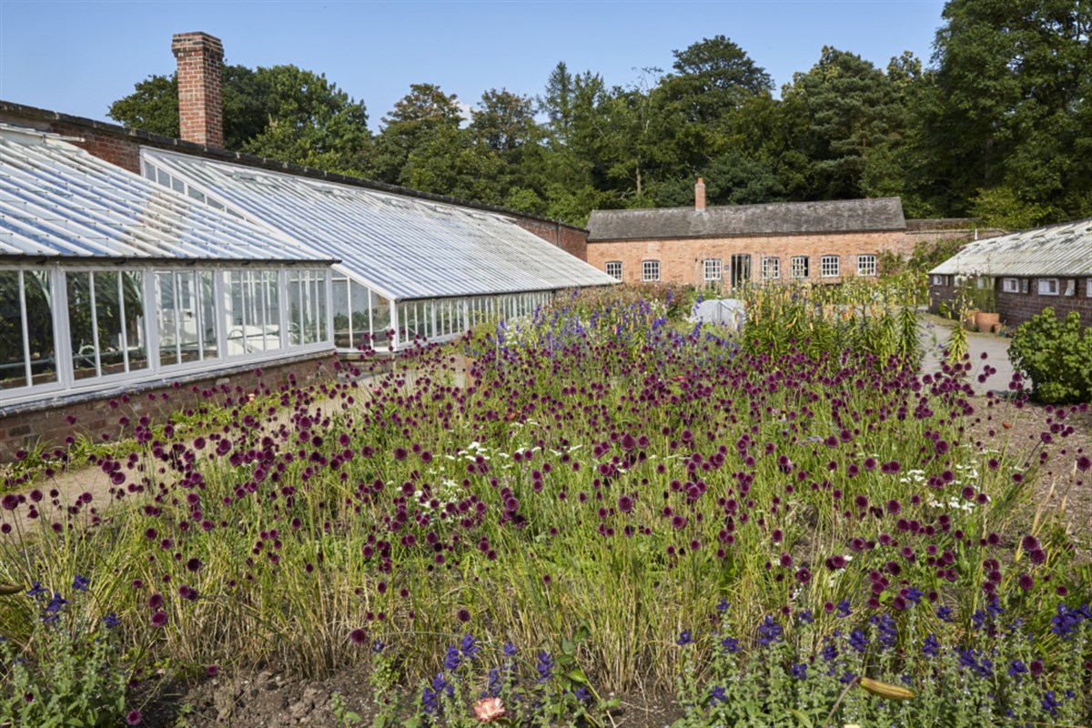 The walled garden at Attingham Park <span style='font-size:8px;'>®National Trust Images/Arnhel de Serra</span>
