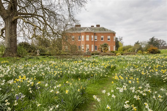 Hatchlands Park, Surrey  <span style='font-size:8px;'>®National Trust Images/James Dobson</span>