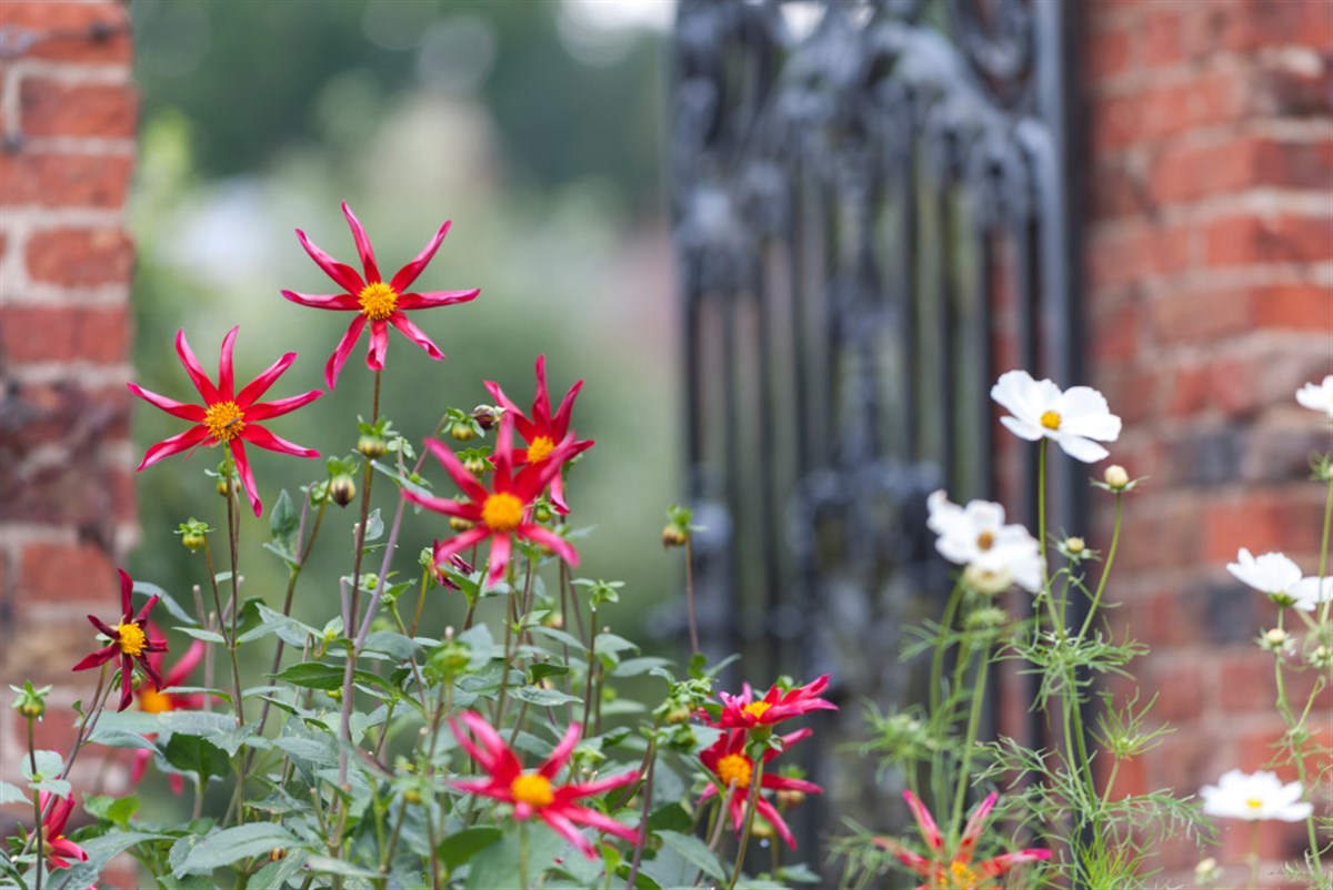 Beningbrough Hall, Gallery and Gardens, North Yorkshire