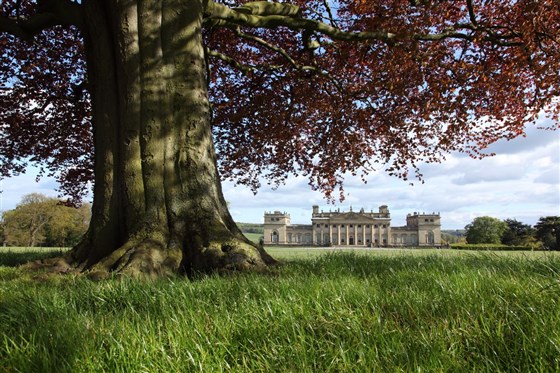 Harewood <span style='font-size:8px;'> credit Simon Warner and Harewood House Trust  </span>