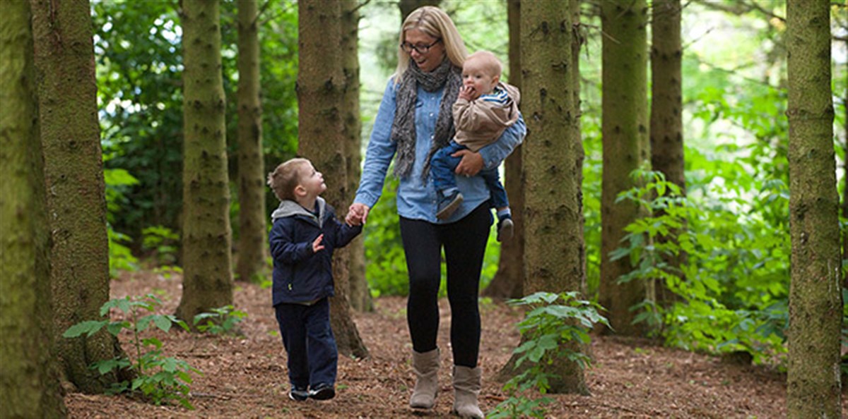 Enjoy the beautiful Gardens at Drum Castle<span style='font-size:8px;'> ® The National Trust for Scotland </span>