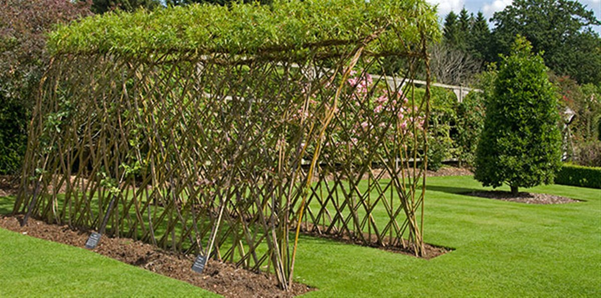  Gardens at Drum Castle <span style='font-size:8px;'> ® The National Trust for Scotland </span>