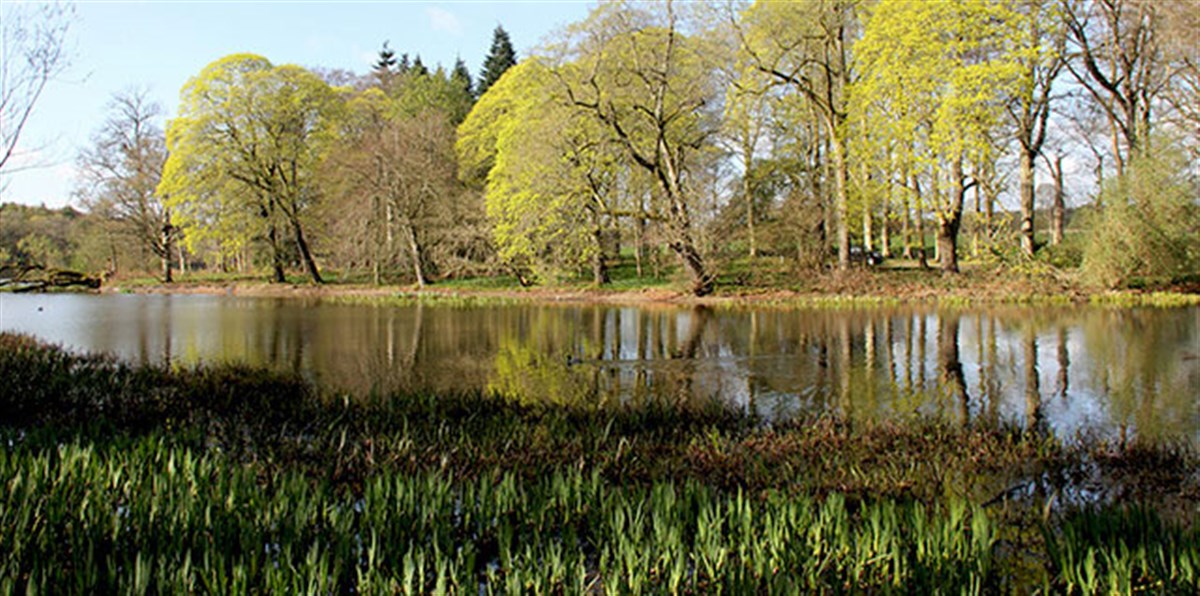 The Beautiful Grounds of Fyvie Castle <span style='font-size:8px;'> ®National Trust for Scotland </span>