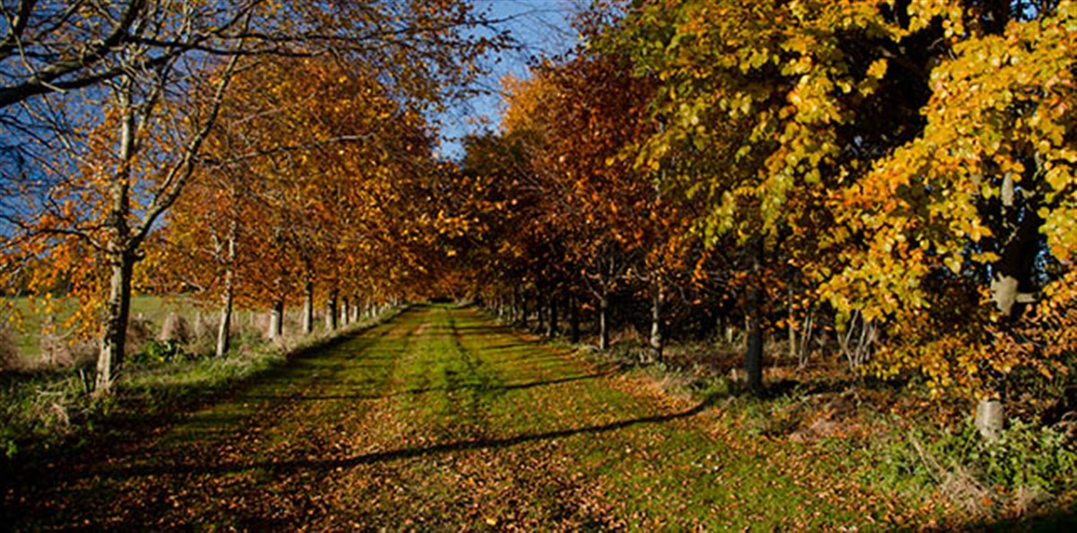 Autumn at the House of Dun <span style='font-size:8px;'> ® Keddie Law/ The National Trust for Scotland </span>