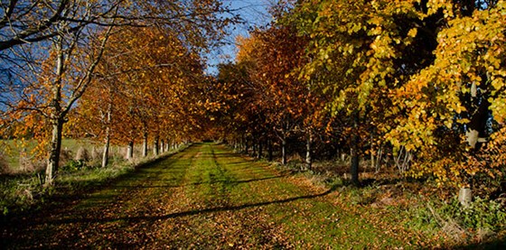 Autumn at the House of Dun <span style='font-size:8px;'> ® Keddie Law/ The National Trust for Scotland </span>