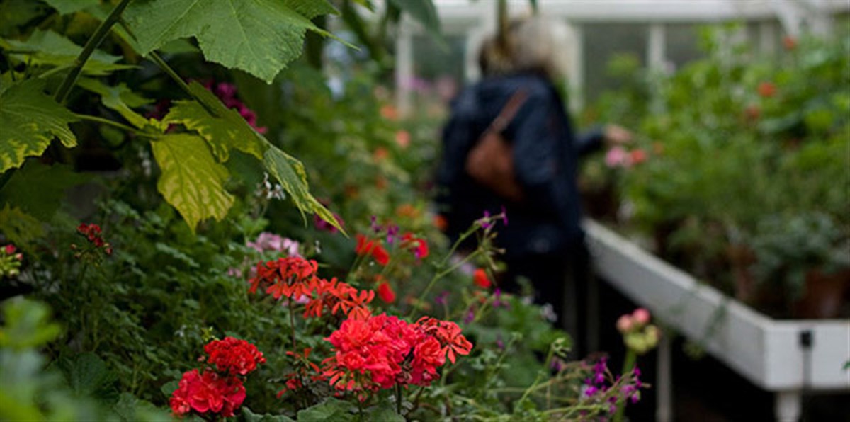 Visitors Explore Falkland Palace and Gardens <span style='font-size:8px;'> ® The National Trust for Scotland </span>