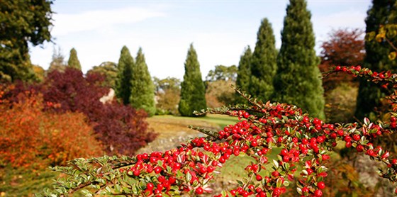 The Beautiful Grounds of  Falkland Palace and Gardens <span style='font-size:8px;'> ® The National Trust for Scotland </span>