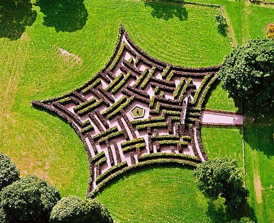 Murray Star Maze