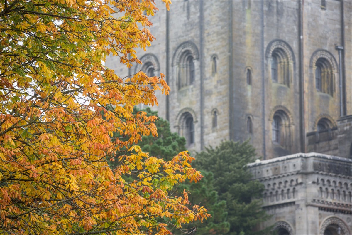 Penrhyn Castle, Gwynedd, North Wales  <span style='font-size:8px;'>®National Trust Images/Rob Stothard</span>