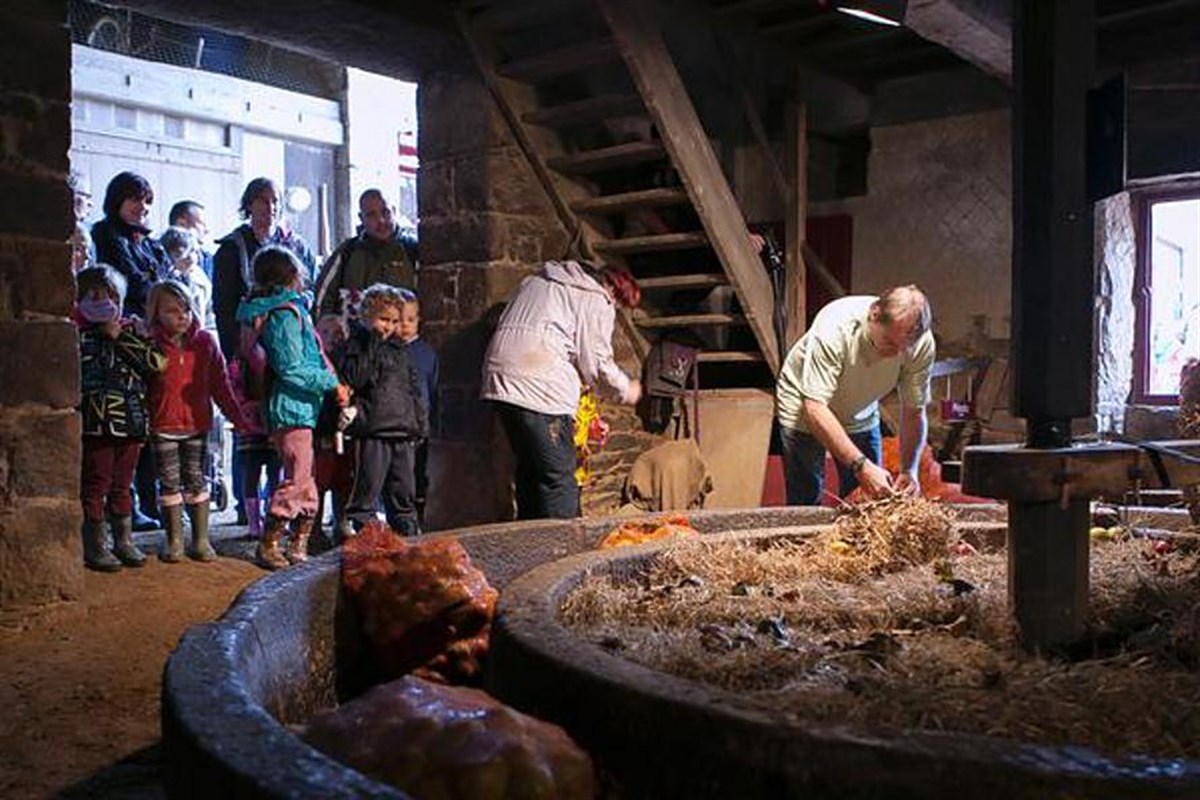 Hamptonne Cider Festival