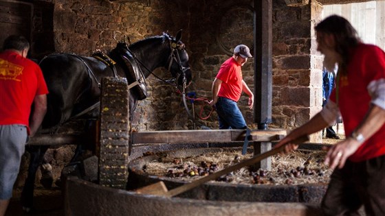 The Cider Press at the Cider Festival