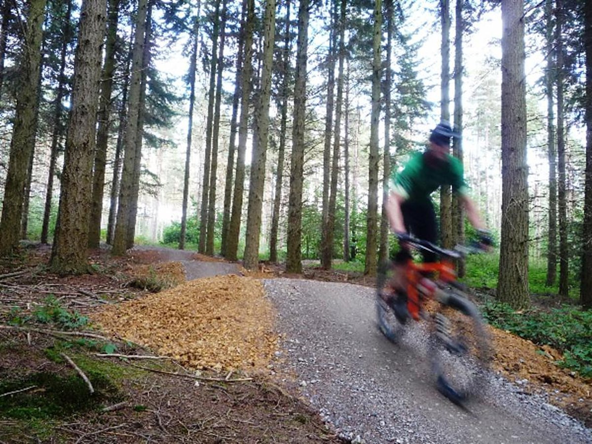 Single track MTB trail