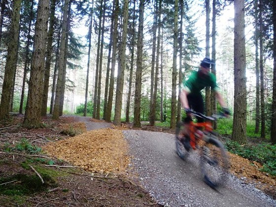 Single track MTB trail