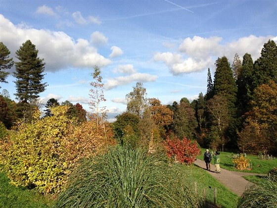 The Pinetum in Autumn