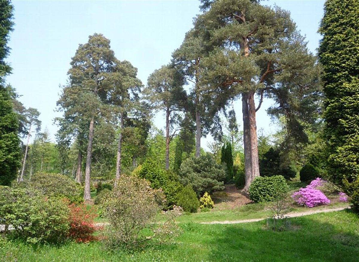 The Pinetum in Spring