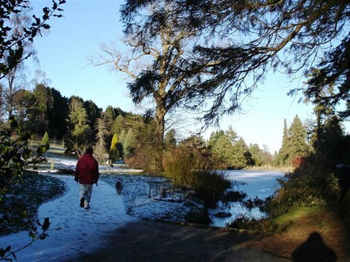 The Pinetum in WInter