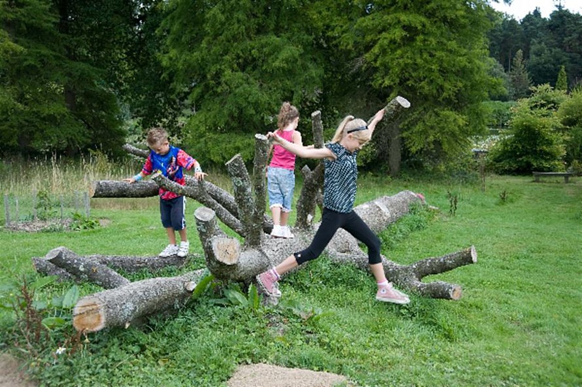 Natural Play