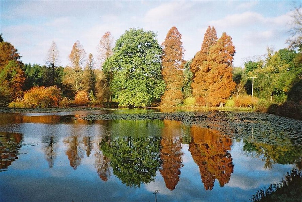 reflections