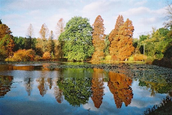 reflections