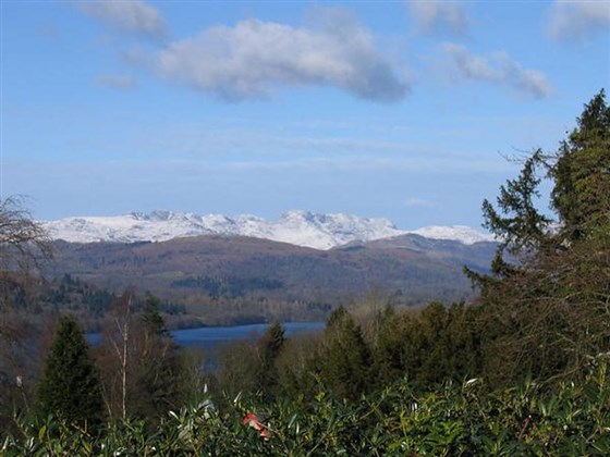 View from Cedar Manor