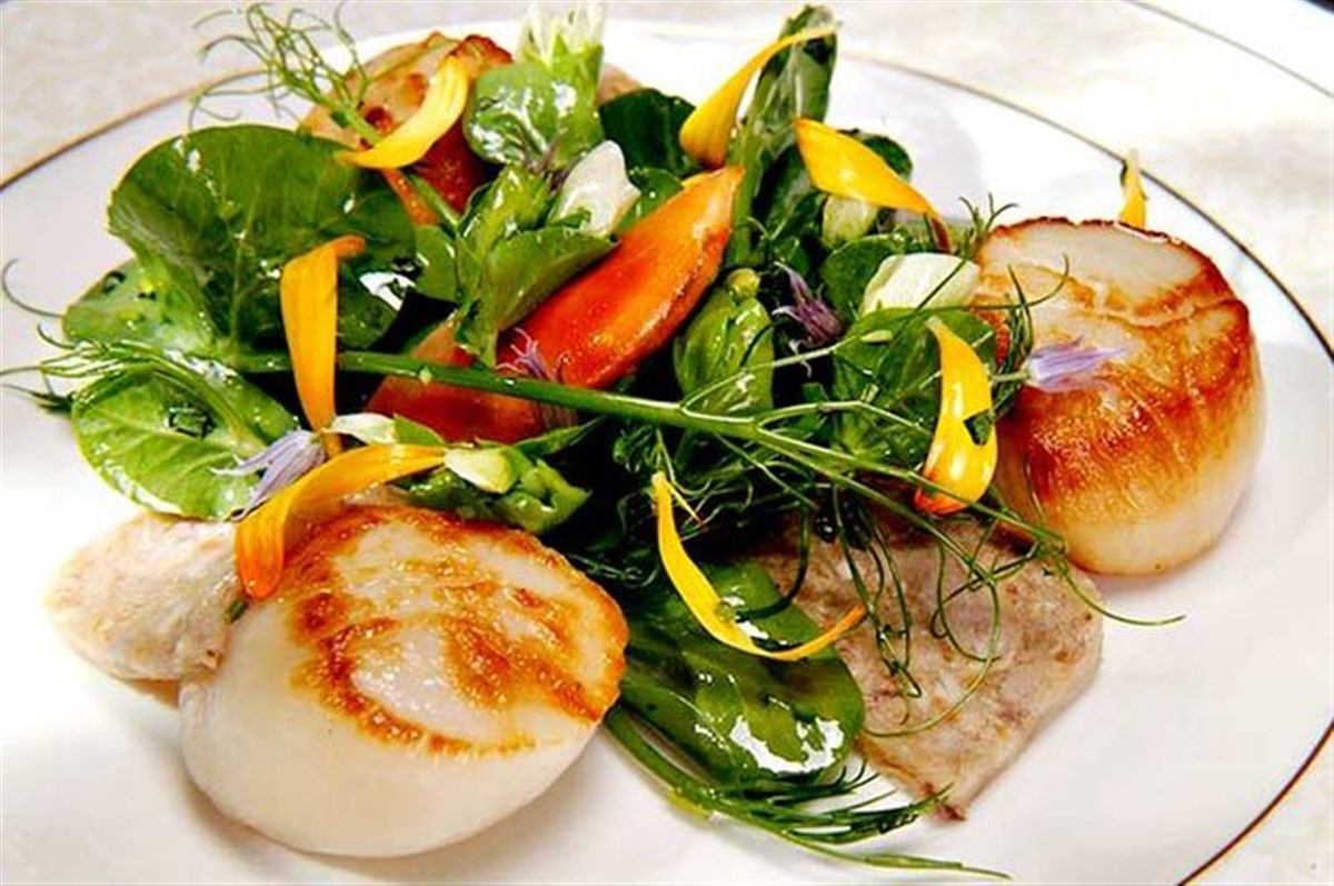 Seared Scallops and Pork Rillette