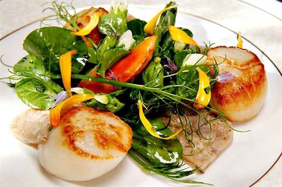 Seared Scallops and Pork Rillette