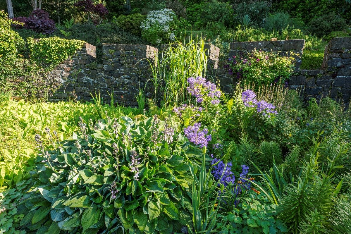 Armadale Castle Gardens