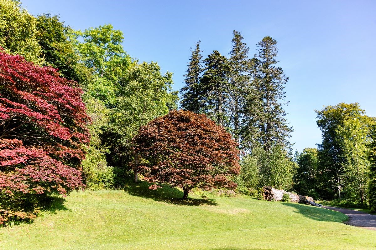 Woodland sculpture