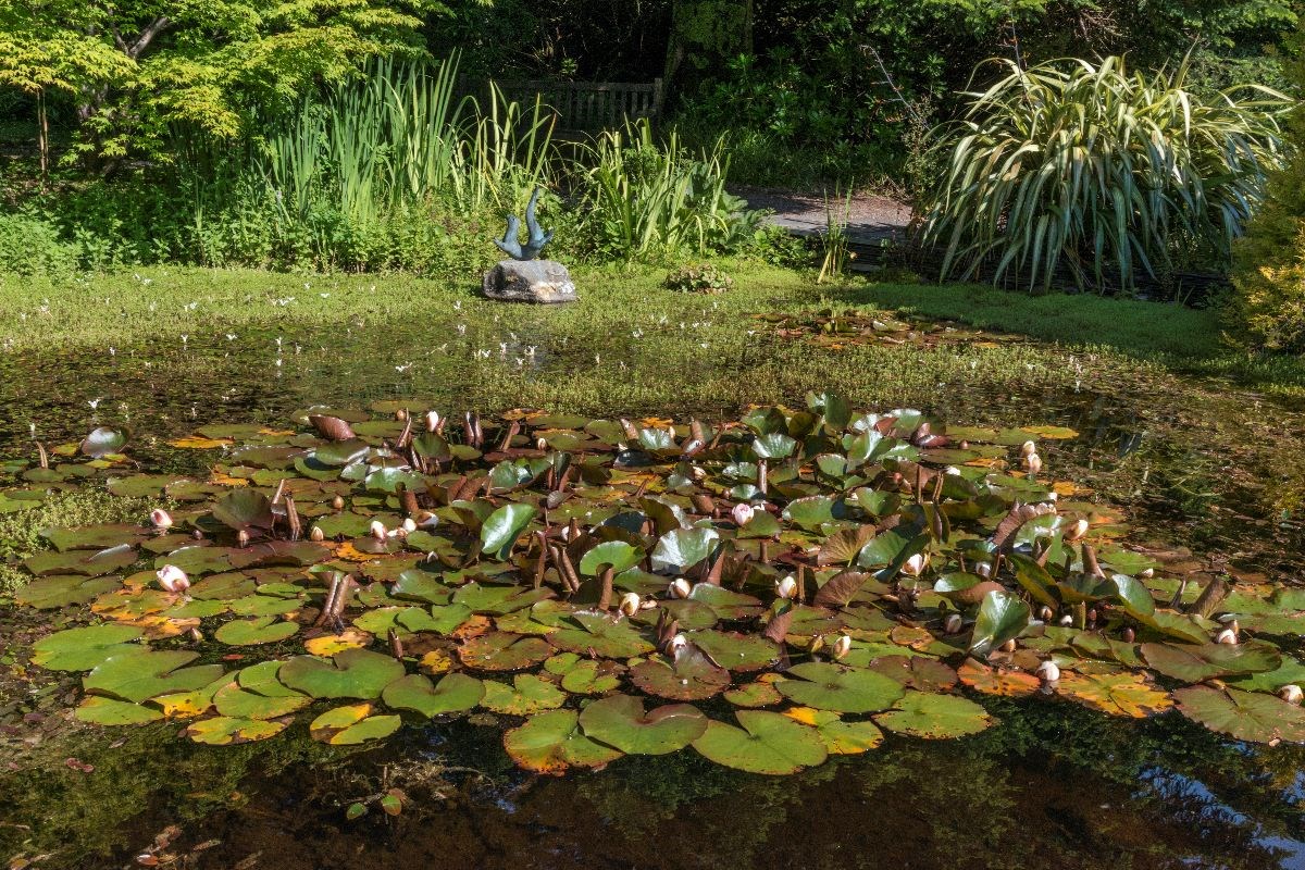 Ornamental pond