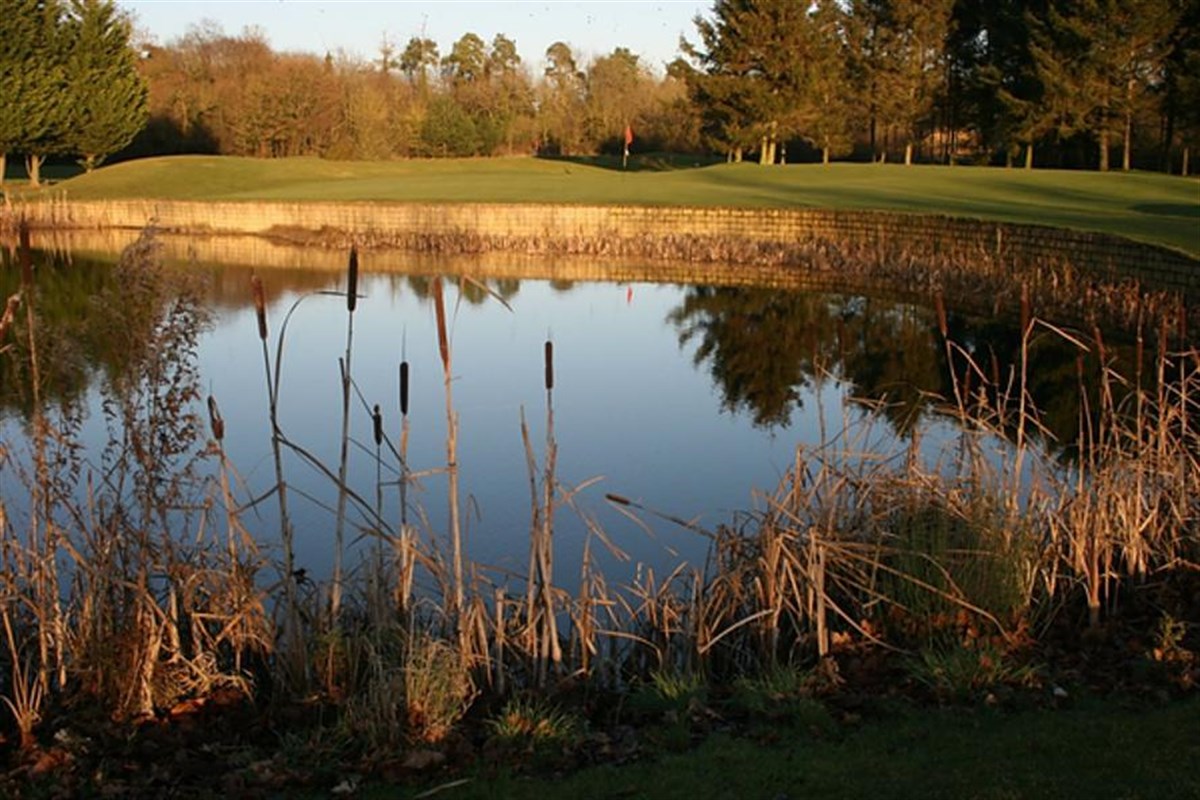 12th green 