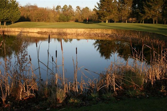 12th green 
