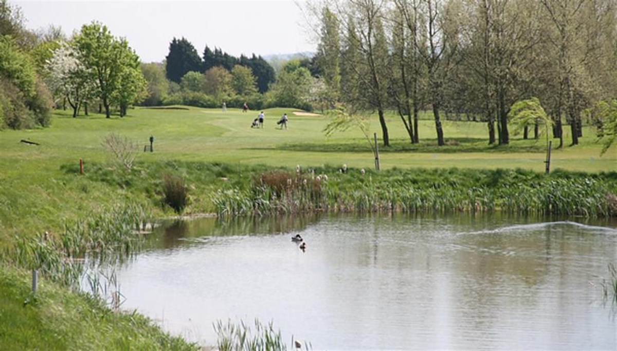 16th green 