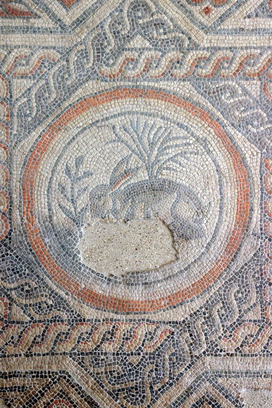 Hare mosaic