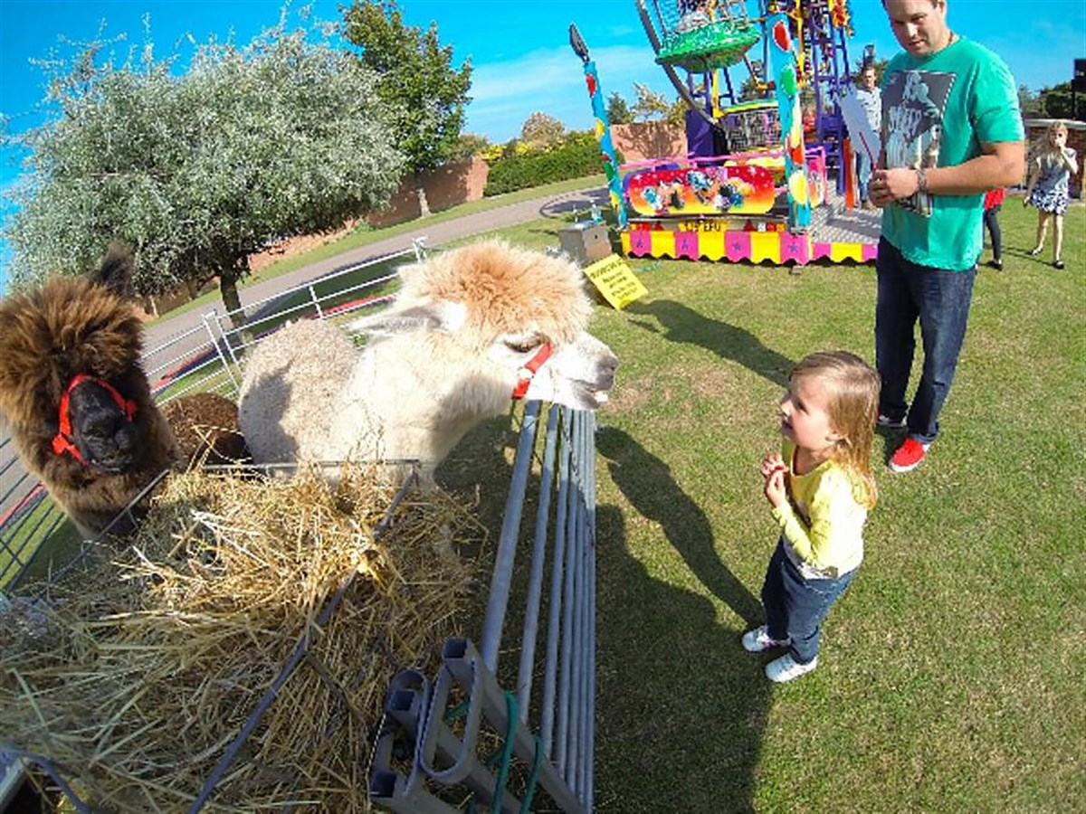 Hyperion Lawn Family Fun