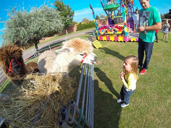 Hyperion Lawn Family Fun